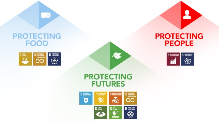 The UN Sustainable Development Goals